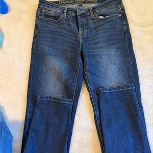 GAP Women's Denim Straight Leg Jeans